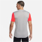 NIKE Dri-FIT Trophy 5 Fu&szlig;balltrikot Herren 052 - pewter grey/bright crimson/black S
