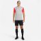NIKE Dri-FIT Trophy 5 Fu&szlig;balltrikot Herren 052 - pewter grey/bright crimson/black S