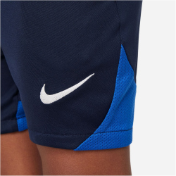 NIKE Academy Pro Dri-FIT Set (Trikot+Shorts) Kinder 463 -...