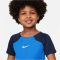 NIKE Academy Pro Dri-FIT Set (Trikot+Shorts) Kinder 463 - royal blue/obsidian/white XS (98-104 cm)