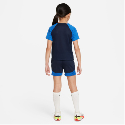 NIKE Academy Pro Dri-FIT Set (Trikot+Shorts) Kinder 451 -...