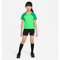 NIKE Academy Pro Dri-FIT Set (Trikot+Shorts) Kinder 329 -...