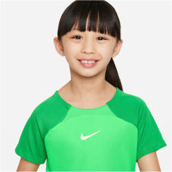NIKE Academy Pro Dri-FIT Set (Trikot+Shorts) Kinder 329 -...