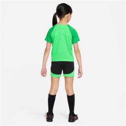 NIKE Academy Pro Dri-FIT Set (Trikot+Shorts) Kinder 329 -...