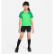 NIKE Academy Pro Dri-FIT Set (Trikot+Shorts) Kinder 329 - green spark/lucky green/white XS (98-104 cm)