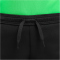 NIKE Academy Pro Dri-FIT Set (Trikot+Shorts) Kinder 329 - green spark/lucky green/white XS (98-104 cm)