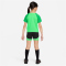 NIKE Academy Pro Dri-FIT Set (Trikot+Shorts) Kinder 329 - green spark/lucky green/white XS (98-104 cm)