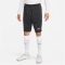 NIKE Dri-FIT Strike Fu&szlig;ballshorts Herren 070 - dk smoke grey/white M