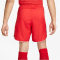 NIKE Dri-FIT Fu&szlig;ballshorts Herren 657 - university red/white/white S
