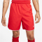 NIKE Dri-FIT Fu&szlig;ballshorts Herren 657 - university red/white/white XXL
