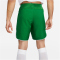 NIKE Dri-FIT Fu&szlig;ballshorts Herren 302 - pine green/white/white S