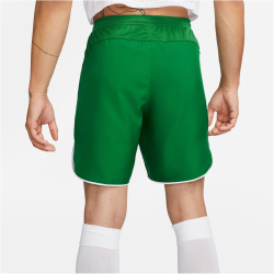 NIKE Dri-FIT Fu&szlig;ballshorts Herren 302 - pine green/white/white M