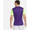 NIKE Dri-FIT Tiempo Premier II Fu&szlig;balltrikot Herren 547 - court purple/volt/white L