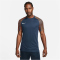 NIKE Dri-FIT Academy Fu&szlig;balltrikot Herren 411 - midnight navy/hyper crimson/white M