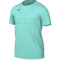 NIKE Dri-FIT Fu&szlig;ball-Schiedsrichtertrikot Herren 354 - hyper turq/black S