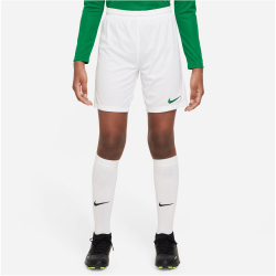 NIKE Park III Dri-FIT Fußball Shorts Kinder 102 - white/pine green S (128-137 cm)