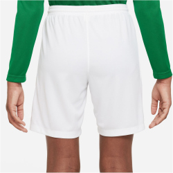 NIKE Park III Dri-FIT Fußball Shorts Kinder 102 - white/pine green S (128-137 cm)