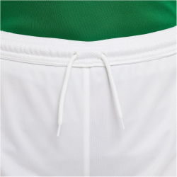 NIKE Park III Dri-FIT Fußball Shorts Kinder 102 - white/pine green S (128-137 cm)