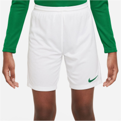 NIKE Park III Dri-FIT Knit Fu&szlig;ballshorts Kinder 102 - white/pine green L (147-158 cm)