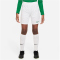NIKE Park III Dri-FIT Knit Fu&szlig;ballshorts Kinder 102 - white/pine green L (147-158 cm)