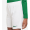 NIKE Park III Dri-FIT Knit Fu&szlig;ballshorts Kinder 102 - white/pine green L (147-158 cm)