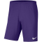 NIKE Park III Dri-FIT Knit Fußball Shorts Herren 547 - court purple/white S
