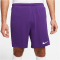 NIKE Park III Dri-FIT Knit Fußball Shorts Herren 547 - court purple/white S