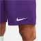 NIKE Park III Dri-FIT Knit Fußball Shorts Herren 547 - court purple/white S