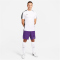 NIKE Park III Dri-FIT Knit Fußball Shorts Herren 547 - court purple/white S