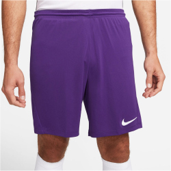 NIKE Park III Dri-FIT Knit Fu&szlig;ballshorts Herren 547 - court purple/white XXL
