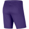 NIKE Park III Dri-FIT Knit Fu&szlig;ballshorts Herren 547 - court purple/white XXL