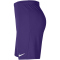 NIKE Park III Dri-FIT Knit Fu&szlig;ballshorts Herren 547 - court purple/white XXL