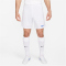 NIKE Park III Dri-FIT Knit Fußball Shorts Herren 104 - white/royal blue L