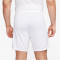 NIKE Park III Dri-FIT Knit Fu&szlig;ballshorts Herren 102 - white/pine green L