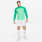 NIKE Park III Dri-FIT Knit Fu&szlig;ballshorts Herren 102 - white/pine green L