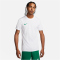 NIKE Park VII Dri-FIT Trikot kurzarm 101 - white/pine green XL