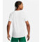 NIKE Park VII Dri-FIT Trikot kurzarm 101 - white/pine green XL