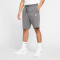 NIKE Sportswear Club Fleece Shorts 071 - charcoal heathr/white 3XL