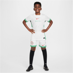 NIKE Nigeria Dri-FIT Stadium Heimshorts Kinder