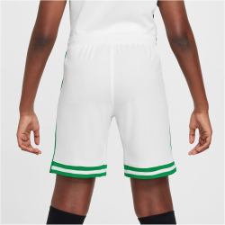 NIKE Nigeria Dri-FIT Stadium Heimshorts Kinder