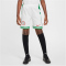 NIKE Nigeria Dri-FIT Stadium Heimshorts Kinder