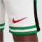 NIKE Nigeria Dri-FIT Stadium Heimshorts Kinder