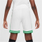 NIKE Nigeria Dri-FIT Stadium Heimshorts Kinder