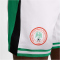 NIKE Nigeria Dri-FIT Stadium Heimshorts Herren