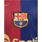 NIKE FC Barcelona Dri-FIT Stadium Heimtrikot Kinder