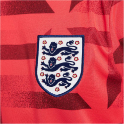NIKE England Dri-FIT Academy Pro kurzarm...