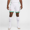 NIKE Nigeria Dri-FIT Stadium Heimshorts Herren 100 - white/lucky green/challenge red S