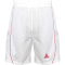 PEAK Team Basketballtrikot-Set Herren