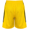 PEAK Team Basketballshorts Damen