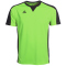 PEAK DBB Logo 2.0 Schiedsrichtertrikot